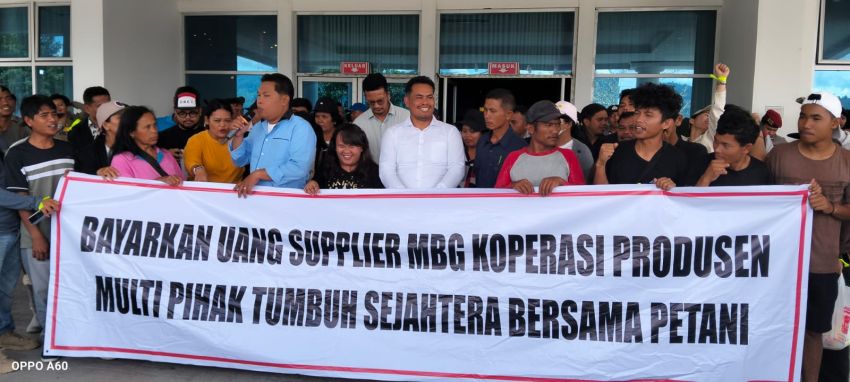 Ratusan Supplier MBG Demo ke Kantor Bupati Taput, Tuntut Dana Koperasi Dicairkan