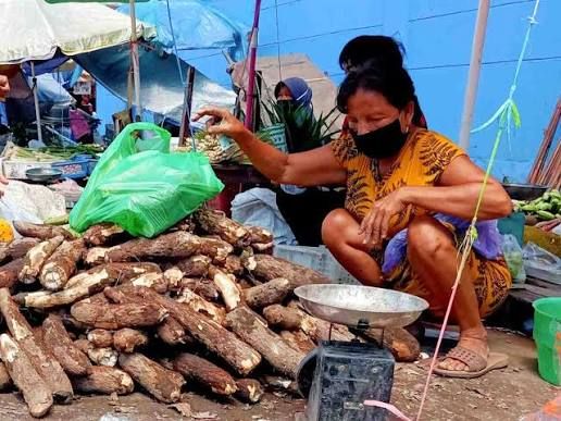 Penjualan Singkong di Medan Makin Laris, Petani Sumut Gencar Menanam