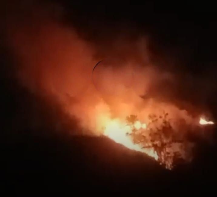 Bukit di Pinangsori Tapteng Terbakar, Api Cepat Meluas