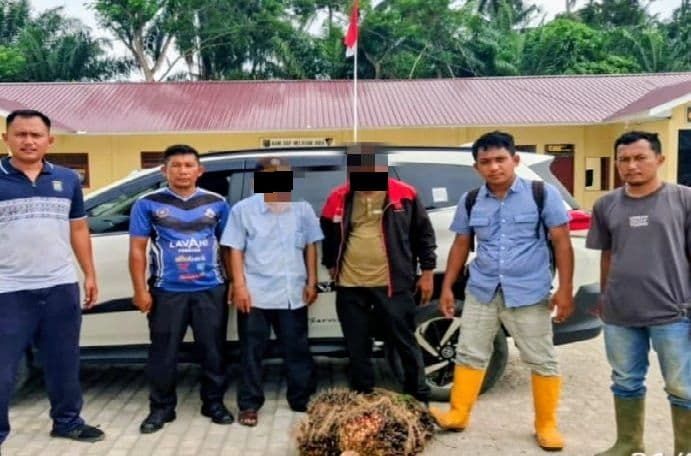 Kejar-kejaran 15 Kilometer, Dua Pencuri Sawit Diciduk Polsek Lima Puluh