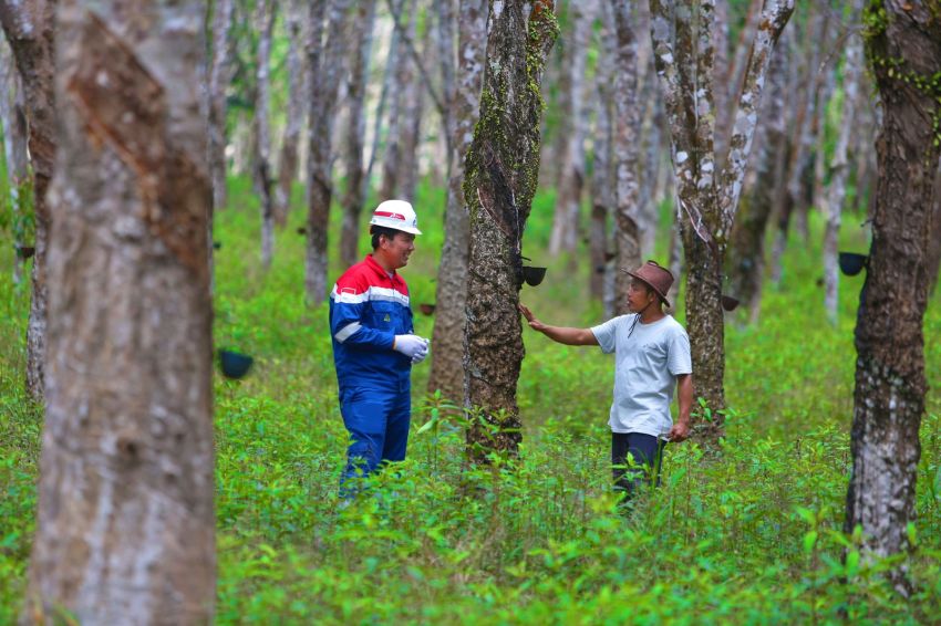 PGN Raih 4 PROPER Emas dan 5 Hijau, Tegaskan Komitmen Lingkungan
