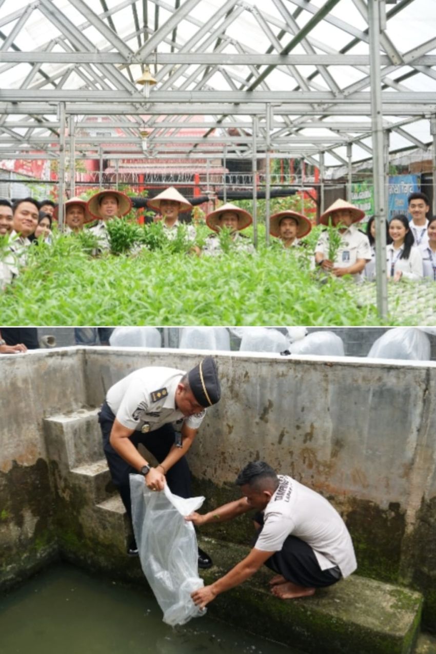 Lapas Kelas I Medan Panen Raya Kangkung Hidroponik, Tebarkan 10.000 Bibit Ikan Nila