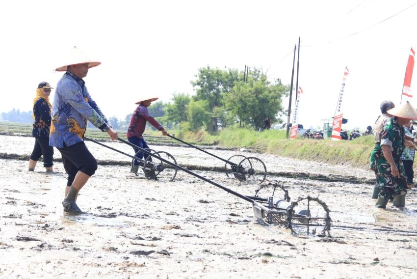 Bupati Sergai Dorong Modernisasi Pertanian, Target 10 Ton Padi per Hektare