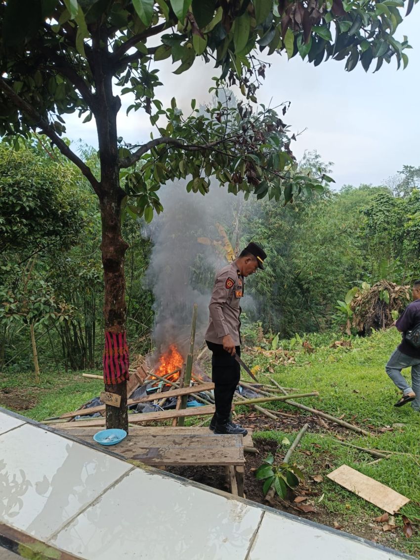Polsek Pancurbatu Gerebek Sarang Narkoba di Dua Desa, Barak Dibakar