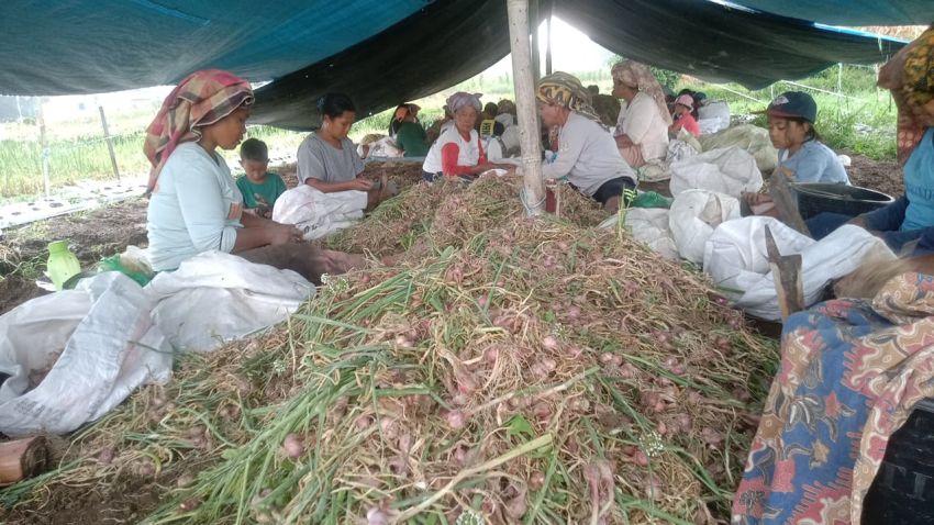 Komisi B DPRD SU Desak Satgas Pangan dan Lintas Instansi Razia Peredaran Bawang Impor Ilegal di Sumut