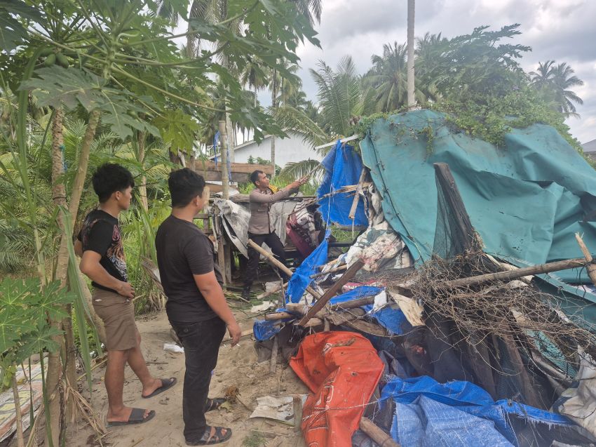 Polsek Teluk Nibung Robohkan Barak Narkoba