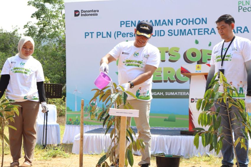 PLN Sibolga Gelar Aksi Tanam Pohon di Tapteng, Dorong Pemulihan Lingkungan dan Ekonomi Warga
