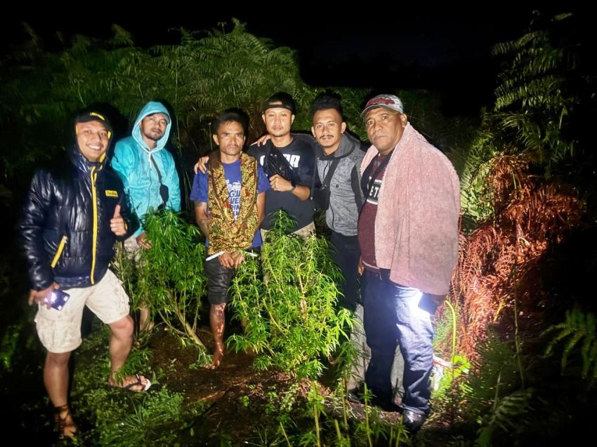Sat Narkoba Polres Dairi Amankan RNS dan Tanaman Ganja dari Perladangan Sumbul