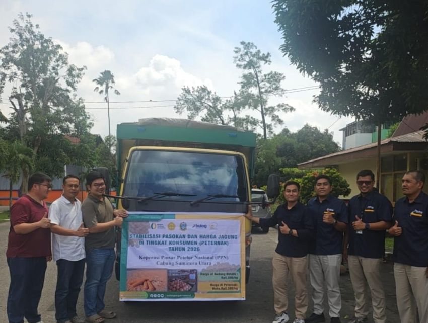 BULOG Sumut Mulai Distribusi 1.116 Ton Jagung SPHP untuk Peternak Ayam Petelur