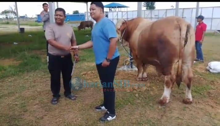 Rayakan Idul Adha 1447 H, Kapolda Sumut Terima Sapi Kurban Hasil Peternakan Tabebuya dari GMNI