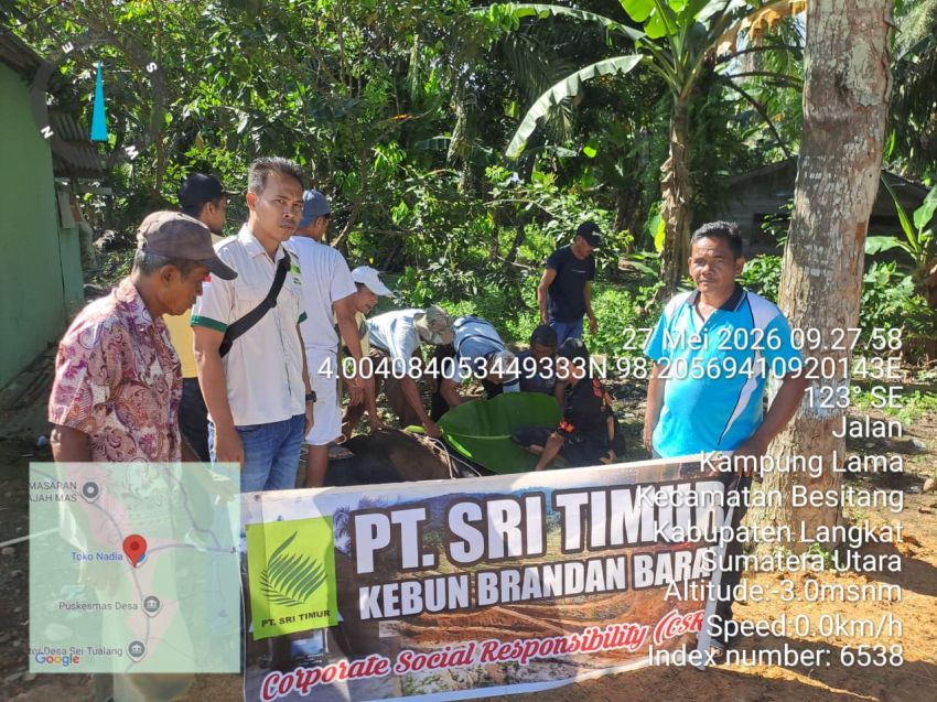 PT Sri Timur dan PT MTT Salurkan Hewan Kurban di Langkat