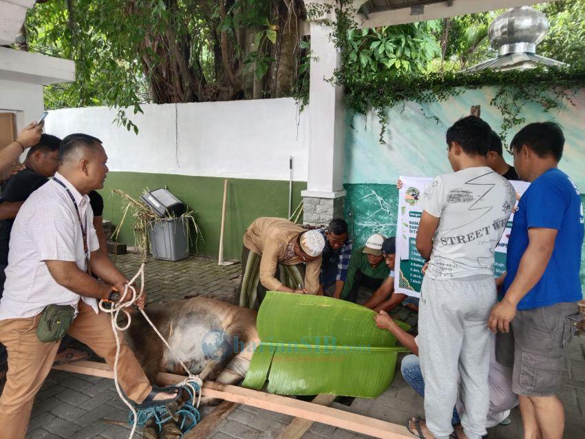 Perayaan Idul Adha 1447 H, Keluarga Besar Rahmat Shah Sembelih 20 Ekor Sapi dan Kambing