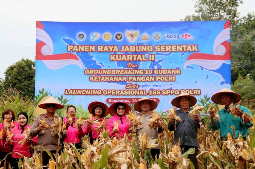 Pemkab Humbahas Hadiri Panen Jagung Serentak Kuartal II 2026, Dukung Swasembada Pangan Nasional
