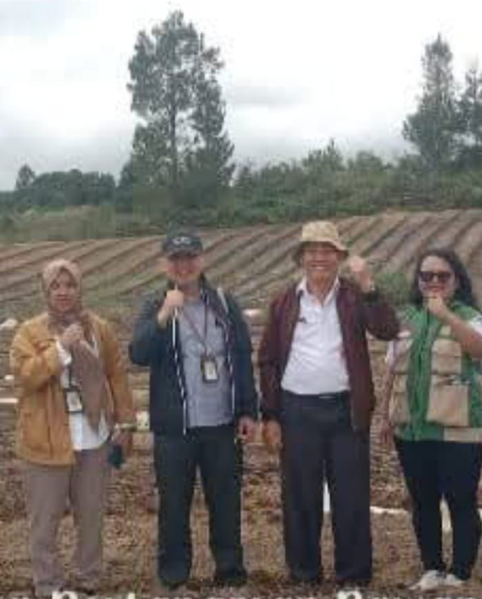 Pemkab Humbahas dan Kementan RI Persiapkan Lokasi Demplot Bawang Putih di Desa Ria-Ria