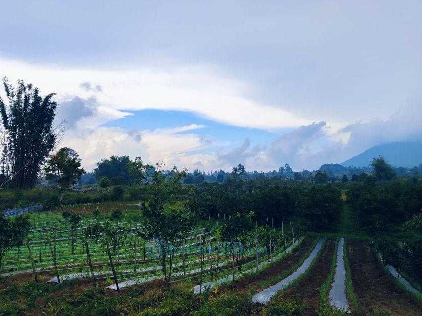 Koptan Juma Bolon Sebut 5 Kendala Petani di Simalungun