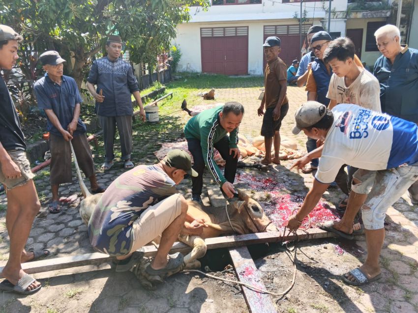 Iduladha 1447 H, PWI Sumut Sembelih 6 Hewan Kurban