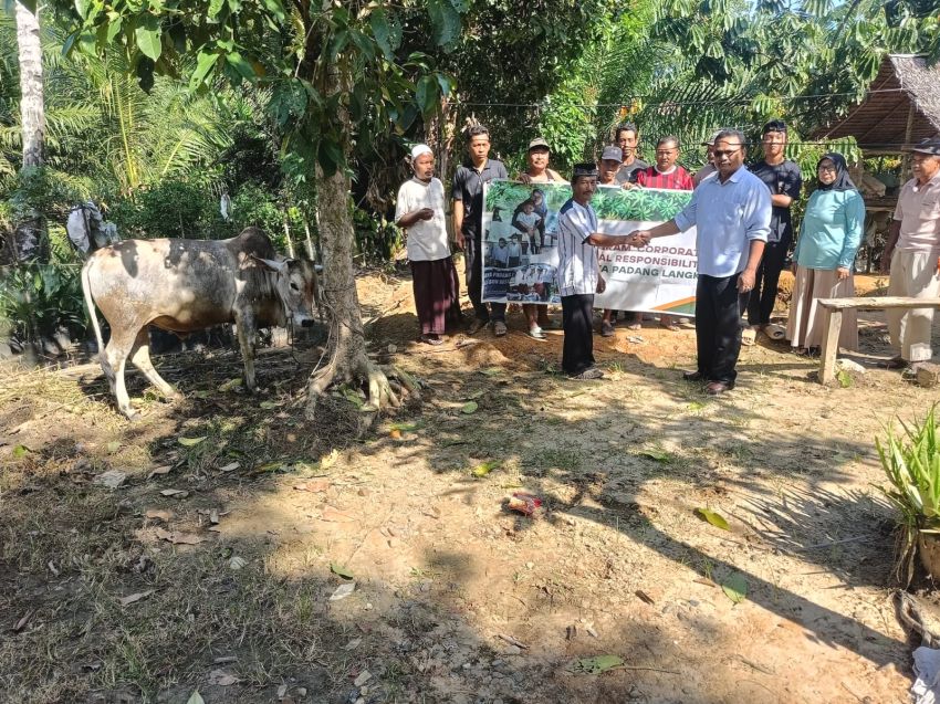 Idul Adha 1447 H, PT Raya Padang Langkat Salurkan Hewan Kurban di Langkat dan Aceh Tamiang