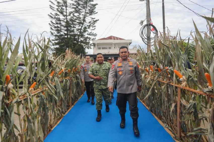 Polda Sumut Ikuti Polri Panen Raya Jagung Serentak Bersama Presiden Prabowo