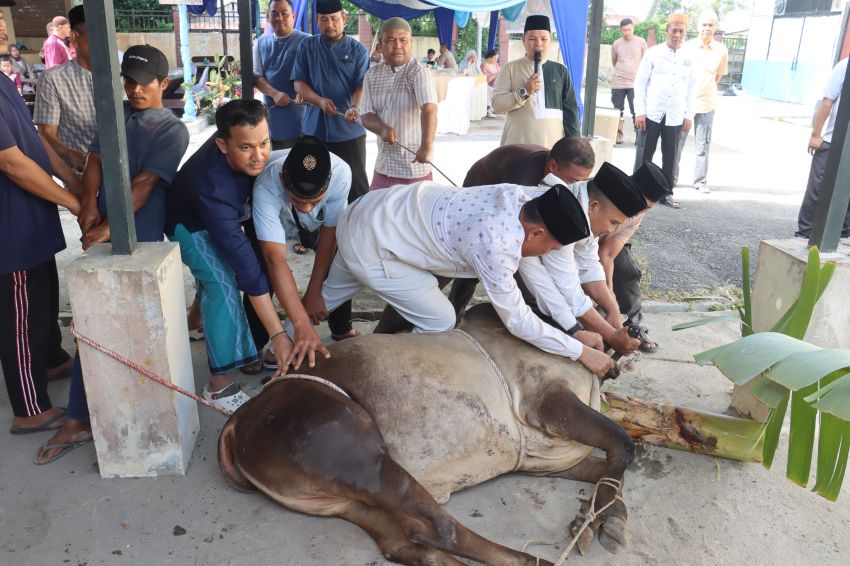 Polres Tanjungbalai Potong 14 Ekor Hewan Qurban