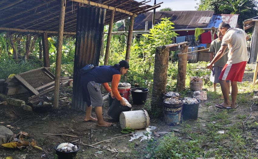 Harga Karet Tembus Rp15 Ribu/Kg di Nias, Petani Sampaikan Terima Kasih kepada Prabowo