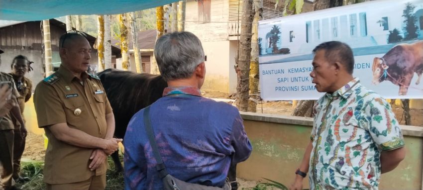 Jelang Iduladha, Pemkab Tapteng Serahkan Dua Sapi Bantuan Kemasyarakatan Presiden-Wapres