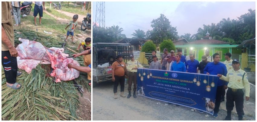 PT Jaya Wira Manggala Serahkan Sapi Kurban ke Warga Sei Kopas
