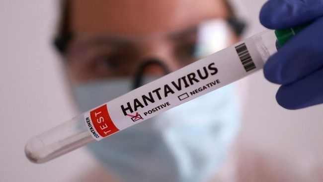 Kasus Sangat Langka, Hantavirus Diduga Menular Antarmanusia