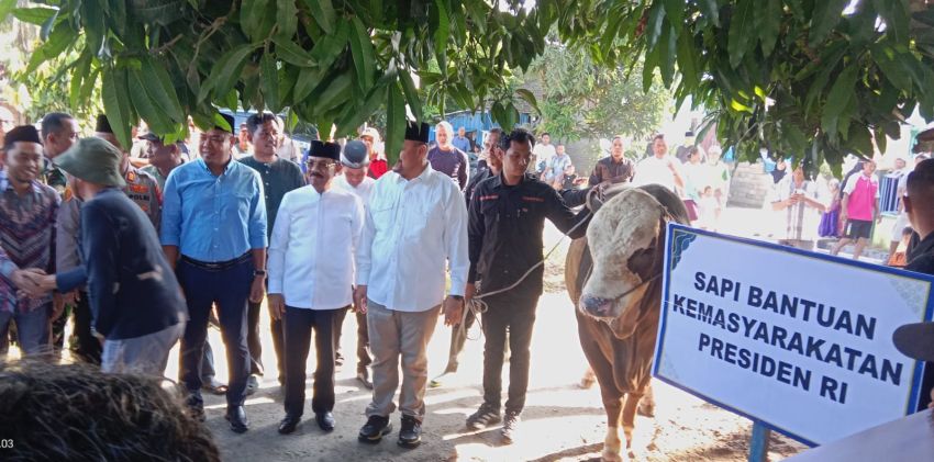 Presiden RI Bantu Sapi Kurban untuk Warga Batubara