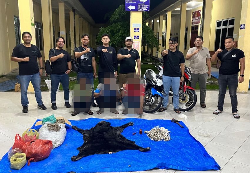 Polres Simalungun Bongkar Jaringan Perdagangan Satwa Dilindungi
