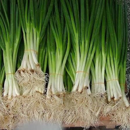Harga Daun Bawang Prei Tembus Rp35 Ribu per Kg, Pedagang Kuliner Pertahankan Porsi