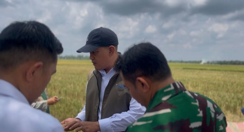 BULOG Serap 3 Juta Ton Gabah dan Beras, Sumut Berkontribusi Hampir 15 Ribu Ton