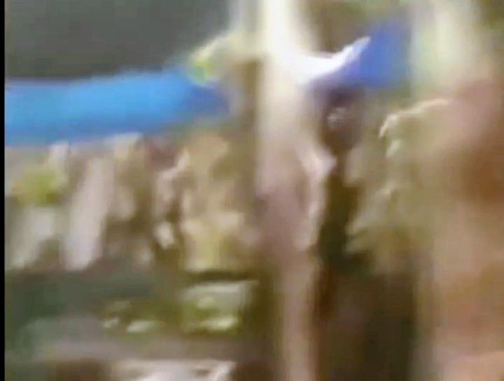 Viral, Wanita Ungkap Dugaan Sarang Sabu di Areal Kebun Pisang