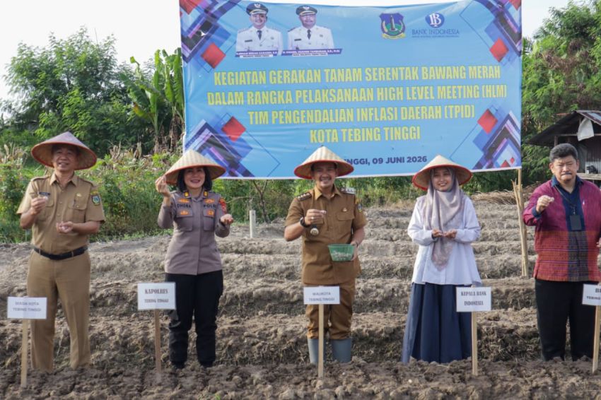 Perkuat Ketahanan Pangan, Wali Kota Tebingtinggi Lakukan Gerakan Tanam Bawang Merah