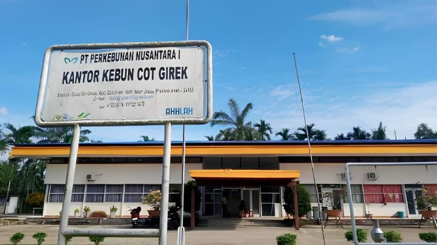 Kebun PTPN Cot Girek Diokupasi dan Dijarah, Pekerja Menderita Negara Rugi Miliaran