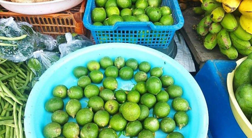Harga Jeruk Nipis di Medan Melonjak, Tembus Rp25 Ribu per Kilogram