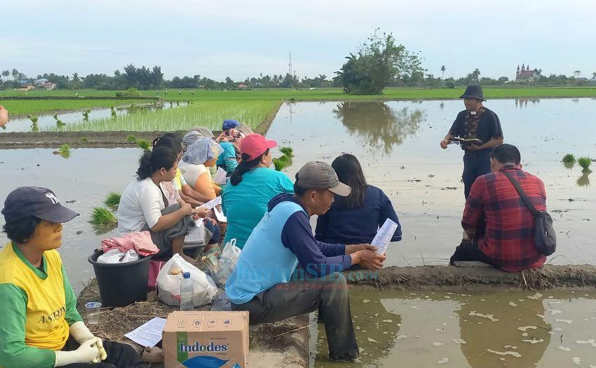 GKPI Lubukpakam Gelar Ibadah Turun Tanam di Sawah