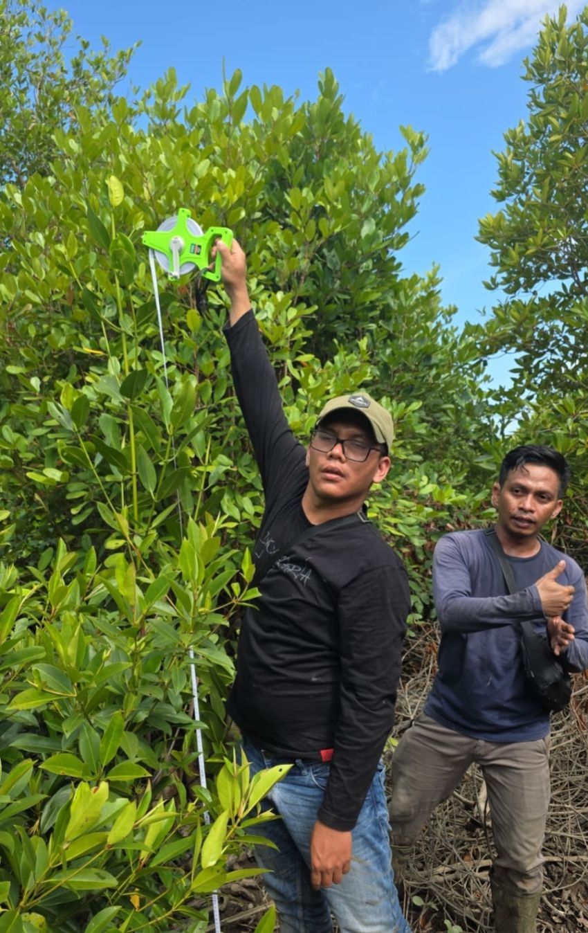 PT DPM Rehabilitasi DAS, 198 Ribu Mangrove Tumbuh Baik di Langkat