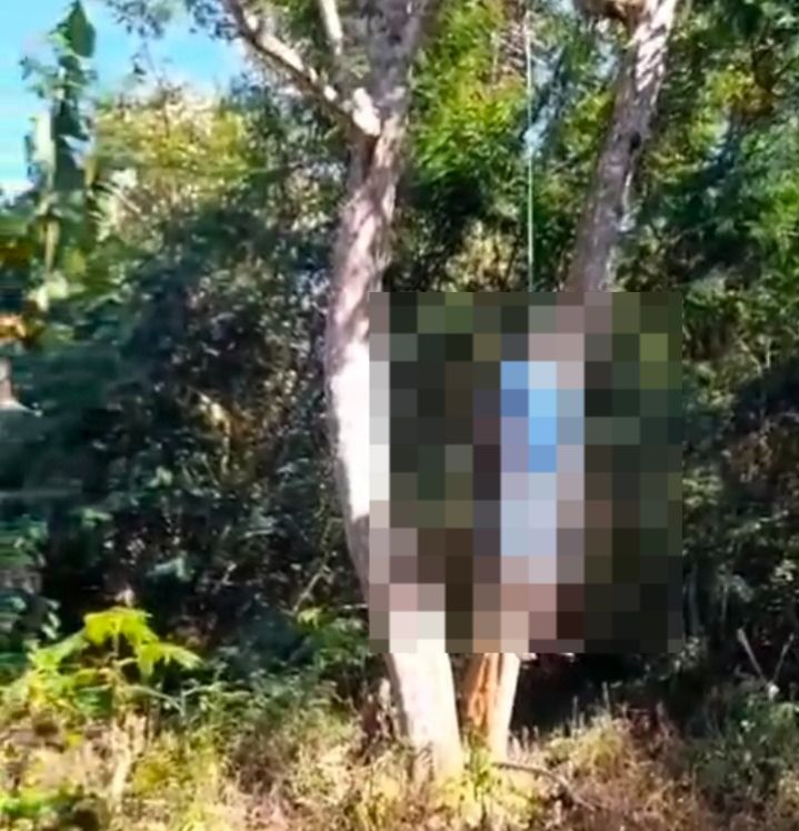 Seorang Warga Ditemukan Tewas Tergantung di Raya Simalungun