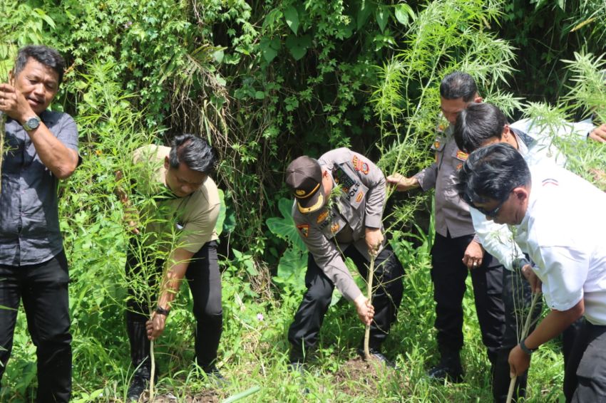 Polres Karo Bongkar Lagi Barak Judi dan Narkoba di Tiganderket