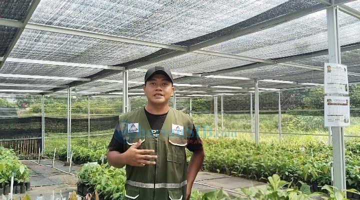 Ali Wahab Hutapea, Korban Banjir Jadi Pengelola Martabe Cacao