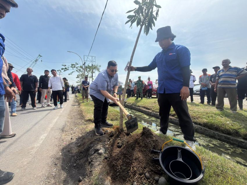 Hari Lingkungan Hidup 2026, Pelindo Regional Tanam 2.500 Pohon di Belawan