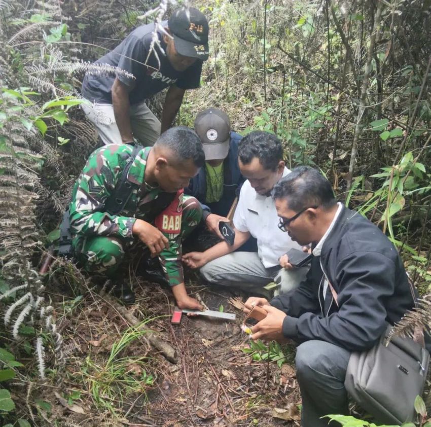 Ada Jejak Diduga Harimau di Adian Koting Taput