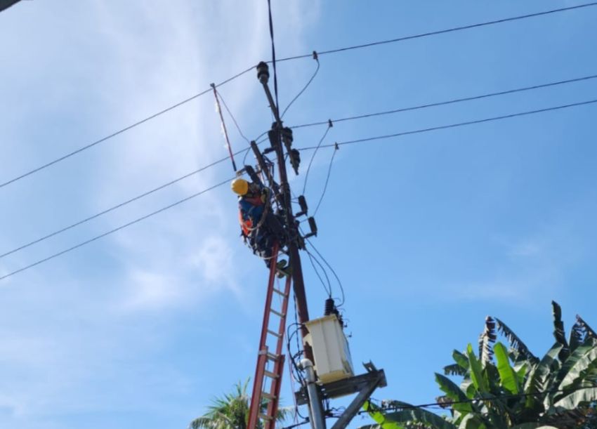 PLN Intensifkan Pemeliharaan Jaringan Listrik di Kotapinang Jelang HUT ke-81 RI