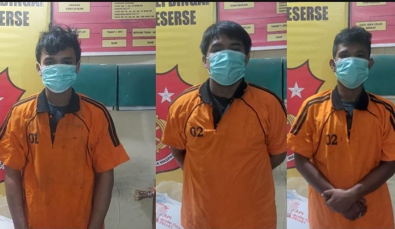 Polsek Sei Bingai Gagalkan Dugaan Pencurian Pakan Ternak, Tiga Pelaku Diamankan