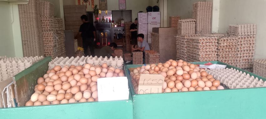 Pasokan Melimpah, Harga Telur Ayam di Medan Kembali Turun