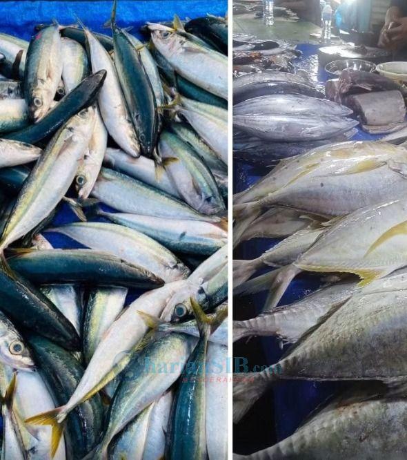 &lrm;Cuaca Ekstrem, Harga Ikan Laut di Pasar Tradisional Meroket