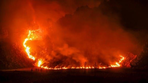 Karhutla Bromo Terdampak 899,35 Hektare, Titik Api Masih Aktif