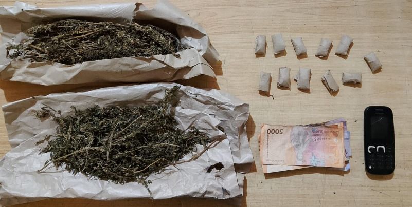Polres Belawan Tangkap Pengedar Ganja di Desa Sei Baharu