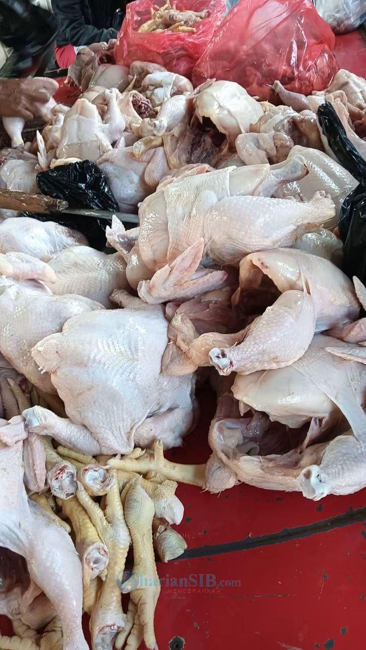 Harga Ayam Potong di Medan Tembus Rp50 Ribu per Kilogram, Pedagang Keluhkan Sepinya Pembeli
