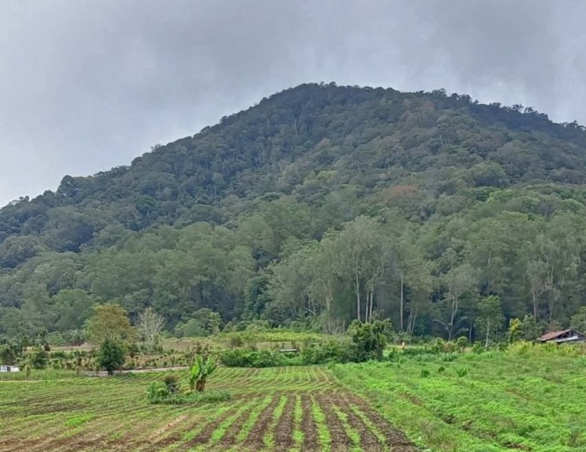 Anstisipasi Kebakaran Hutan, Masyarakat Silimakuta Minta Aktifkan Kembali 'Centeng Api'